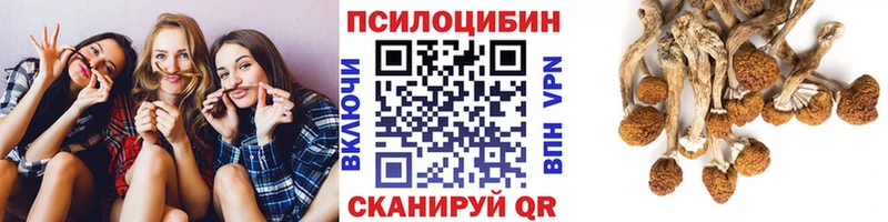 сколько стоит  Кукмор  Псилоцибиновые грибы MAGIC MUSHROOMS 